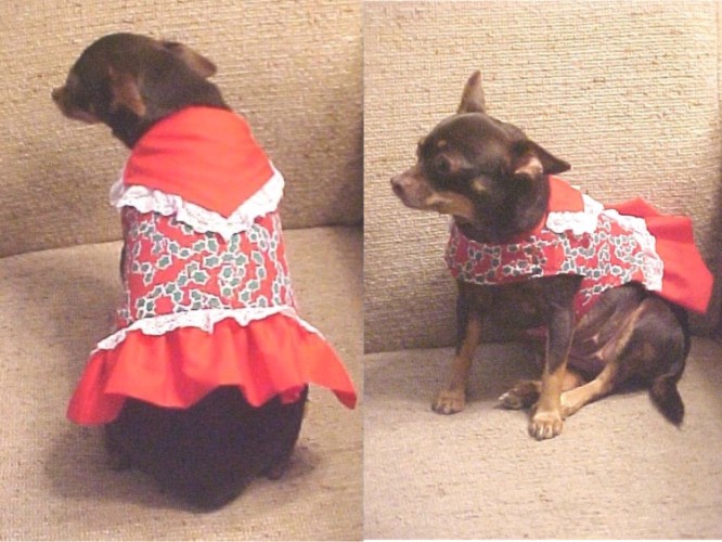 ritaxmasdress.jpg